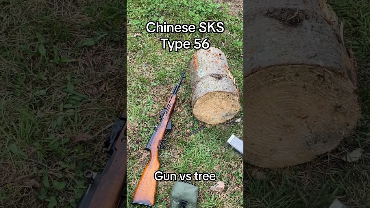 Chinese SKS VS Tree 