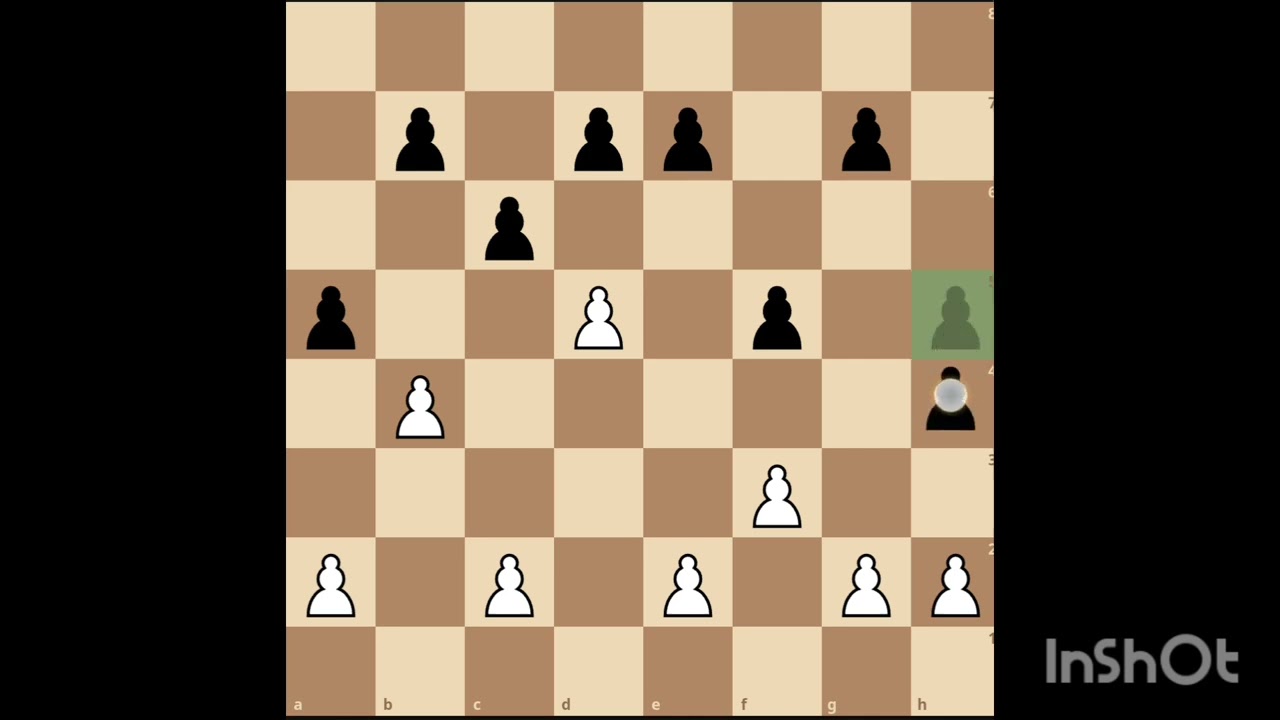 2.“Understanding the Pawn”ChessForKids