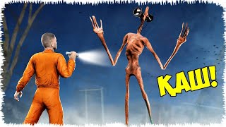 видео: Сиреноголовыйды орманнан көрсең, дереу қаш! картинка: Сиреноголовыйды орманнан көрсең, дереу қаш!
