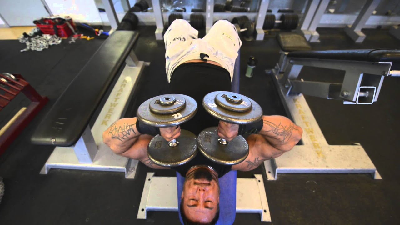 Team M&M Gymlog 41 - Ojentajien extrat