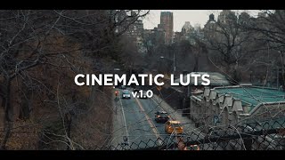 Cinematic luts for premiere pro I  Cinematic luts I WHOMADETHISDESIGN