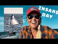 BREACHING WHALES! INSANE DAY🐋! Trawler life aboard our Nordhavn Mermaid Monster! #156