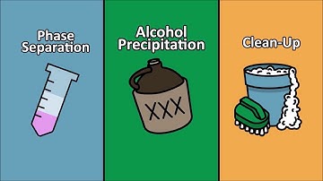 Go from TRIzol to RNA in 7 minutes with Direct zol™