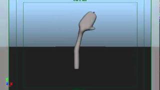 waving hand animation.avi