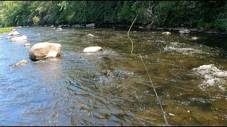 FLY FISHING THE UPPER LEHIGH RIVER, "ON TOP AND BOTTOM"