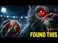 Werewolf Attack in Cricket Stadium | Horror Story at Night | Scary Werewolf Story