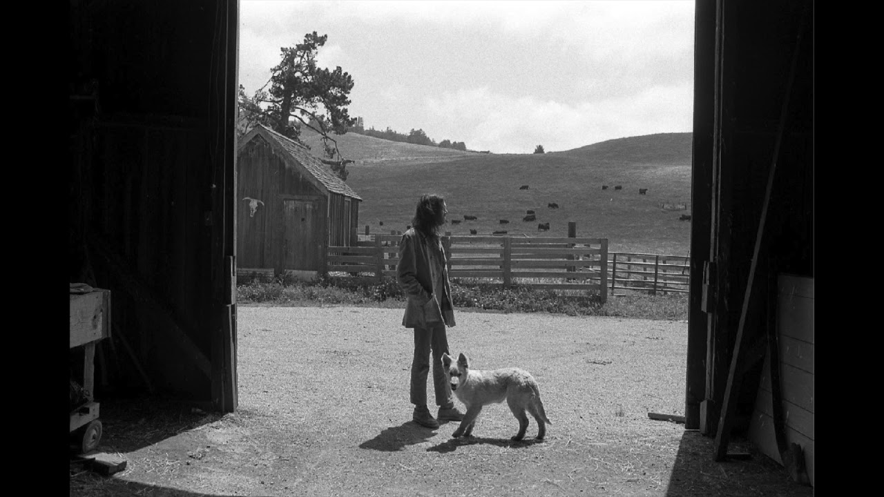 Neil Young- Flying On The Ground Is Wrong (Live at Carnegie Hall, 1970)