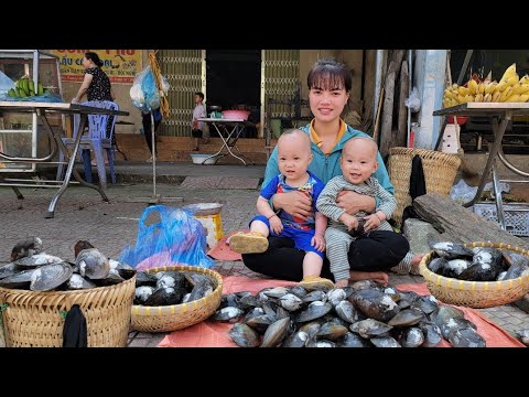 Harvesting Super Large Mussels Going to the market to sell-Cooking for two children |Quan Van Truong
