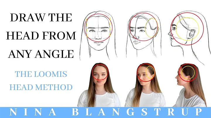 How to Draw the Head from Any Angle - The Loomis H...