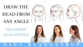 How to Draw the Head from Any Angle  The Loomis Head Method