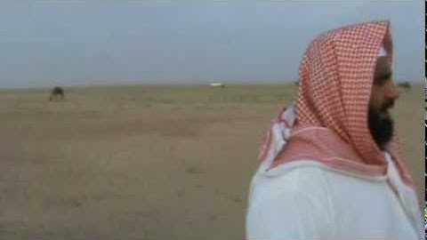 دحيم الحماد سورة الطارق بالبر برنيه 1431.mp4