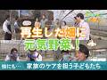 収穫体験にジャム作り！耕作放棄地から生まれた元気野菜を堪能！（2026年4月19日 ひょうご発信！）