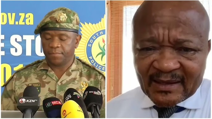 Who is Mr Brown Mogotsi? | General Nhlanhla Mkhwanazi vs Minister Senzo Mchunu