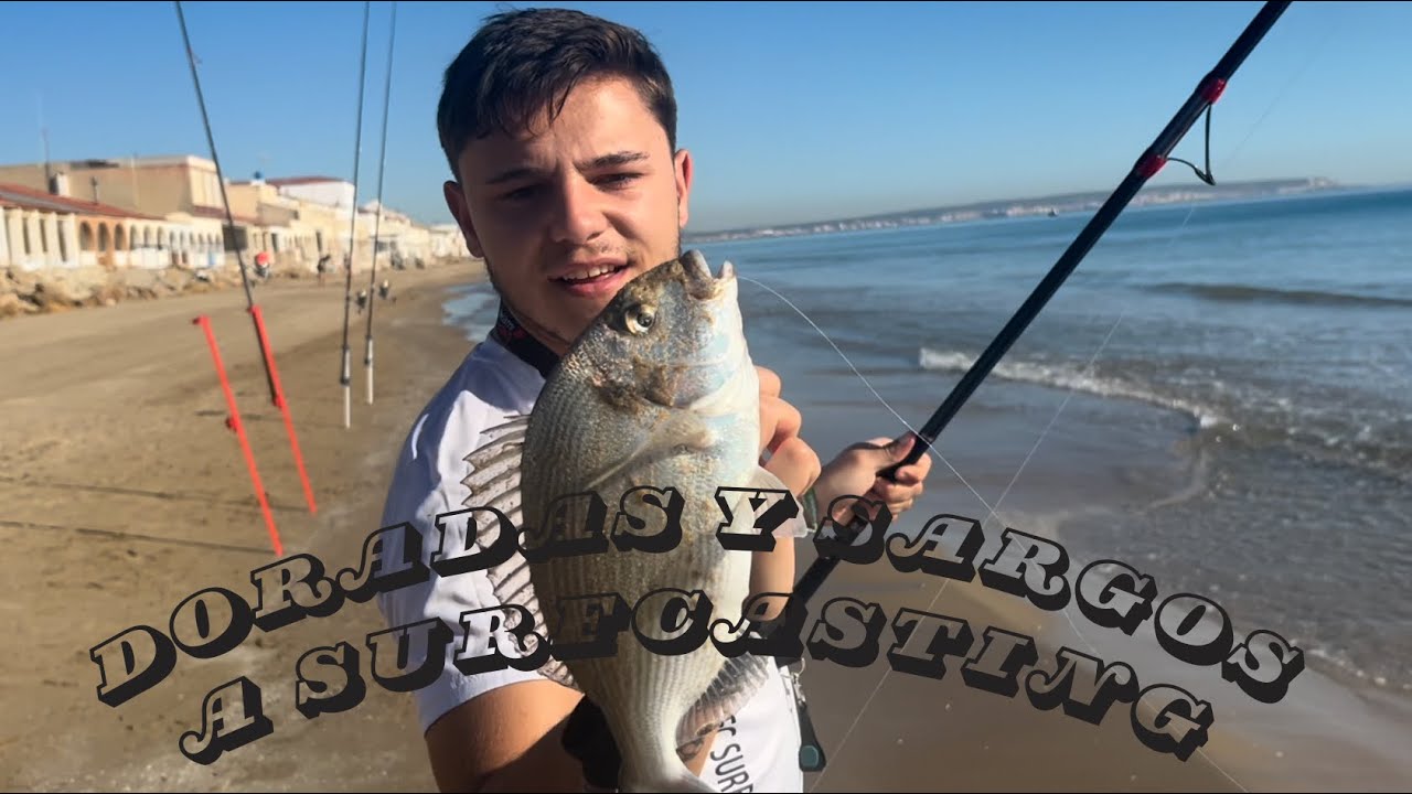 Dorada y Sargos a Surfcasting | Jornada Mixta | Sorec Surfcasting Alicante 🎣