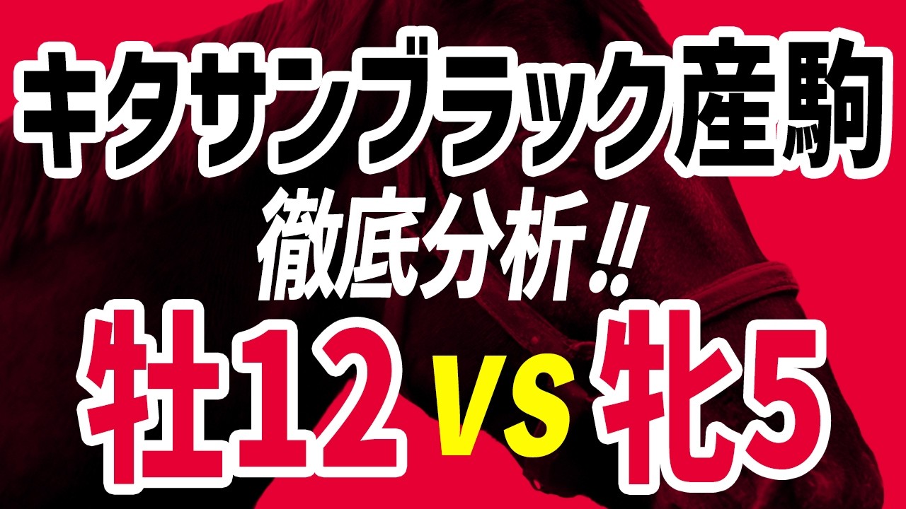 Deep Dive into Kitasan Black Progeny] How to Find Winning
