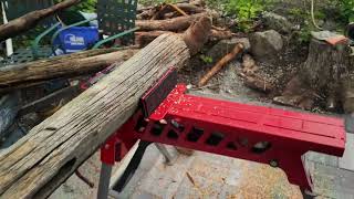 Homelite 16-Inch Electric Chainsaw Review | 12 Amp Power & Automatic Chain Oiler