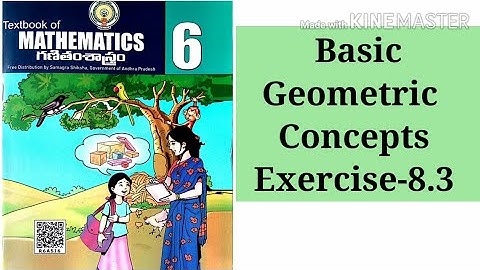 Basic Geometric Concepts || Ex-8.3