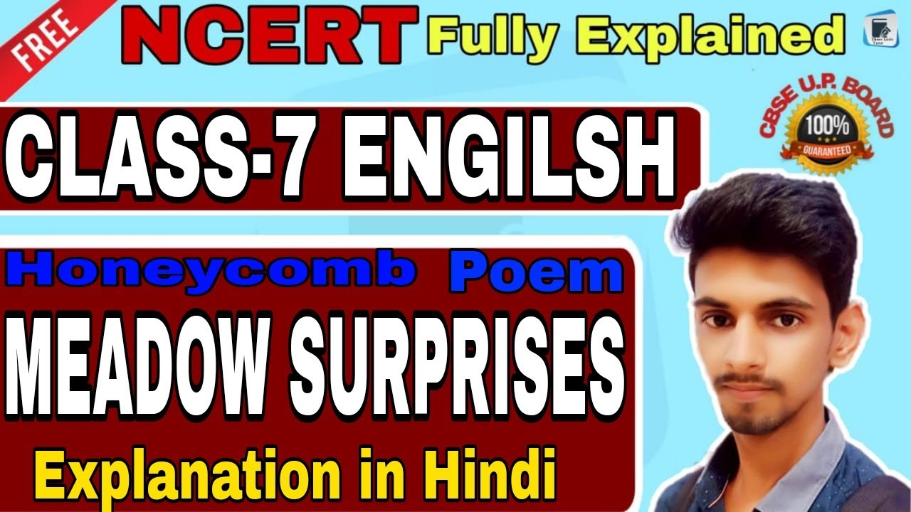 Meadow Surprises Class 7 In Hindi NCERT Class 7 English Honeycomb