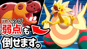 パッチラゴン 育成論
