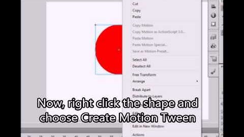 Basic Animation (Adobe Flash CS5)