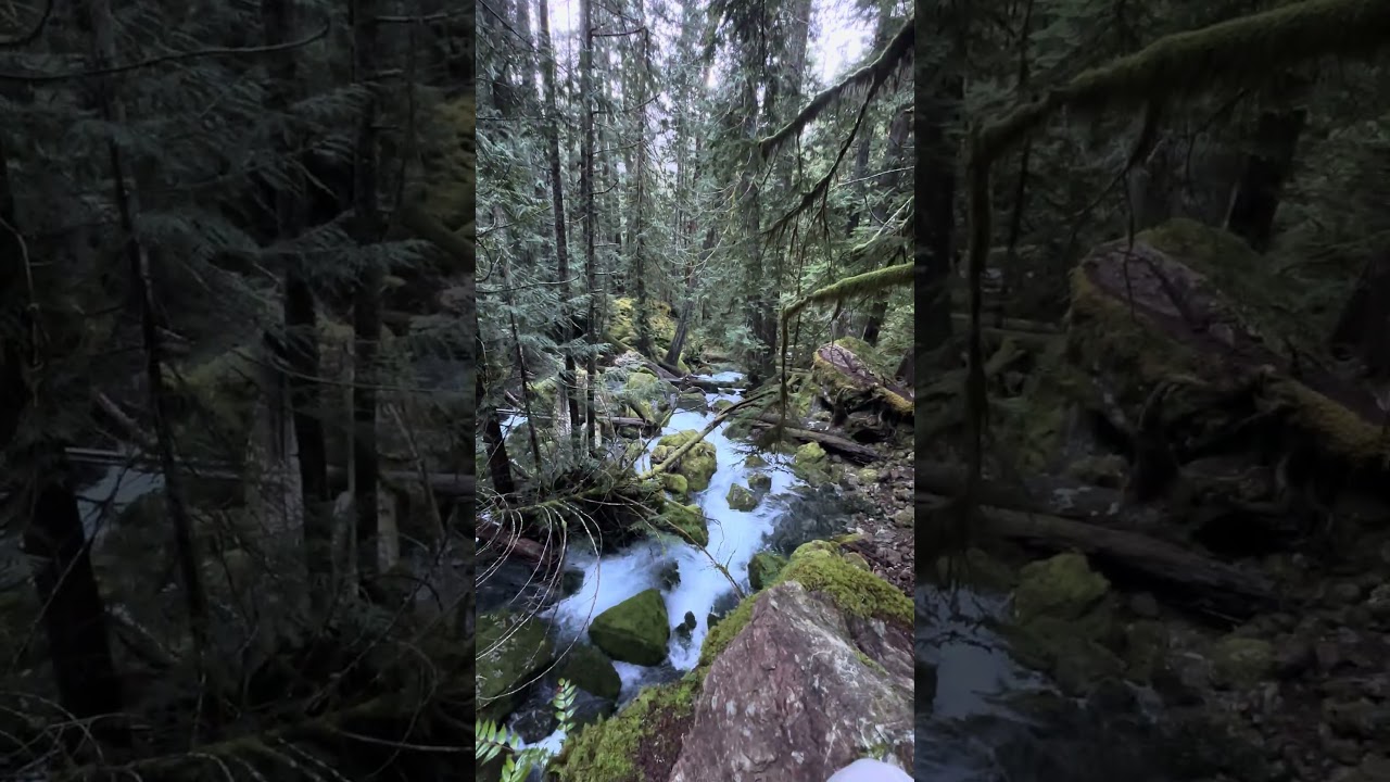 Creek near Lena lake 