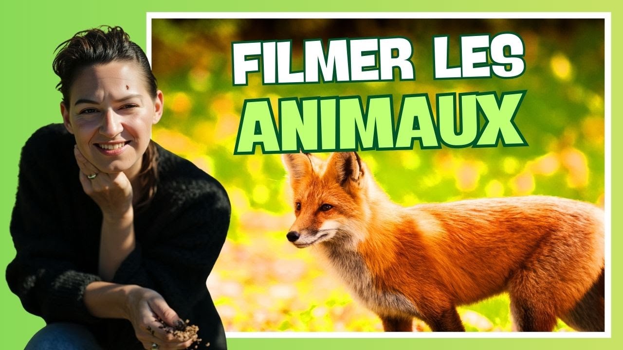 J'utilise Randonautica pour essayer de filmer la faune sauvage