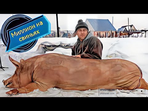 Вырезаю поголовье! Раскрываю правду о проблемах и болезнях на моём хозяйстве.