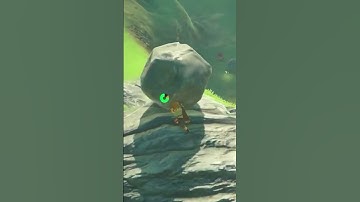 Legend Of Zelda BOTW Boko abuse #legendofzelda #legendofzeldabreathofthewild #botw #bokoblin