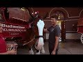 McGreevy Meets a Clydesdale | St. Louis Cardinals