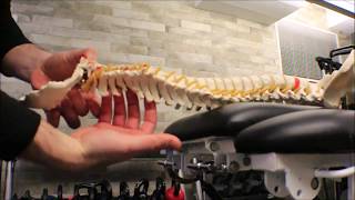 Mid-Cervical Spine Manipulation