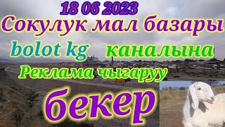 18/06/2023 СОКУЛУК МАЛ БАЗАРЫ КОЙ БАЗАР