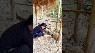 🏡Primitive Skills: Building a Kitchen Wall with Stone & Mud | Off Grid Forest Life #creativesurvival
