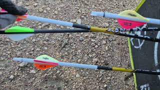 Archery Tip: Choose Your Best Arrows