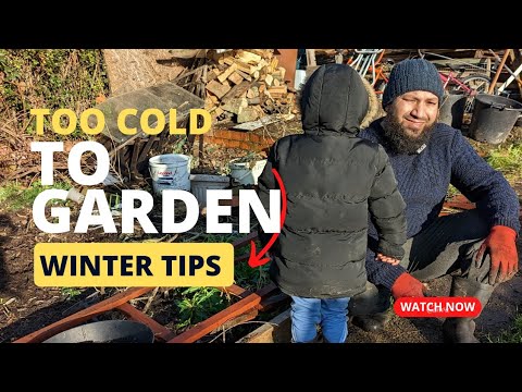 Video: Tuinklusjes voor de winter: tuintaken voor januari