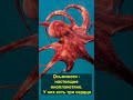 Осьминоги - настоящие инопланетяне. У них есть три сердца