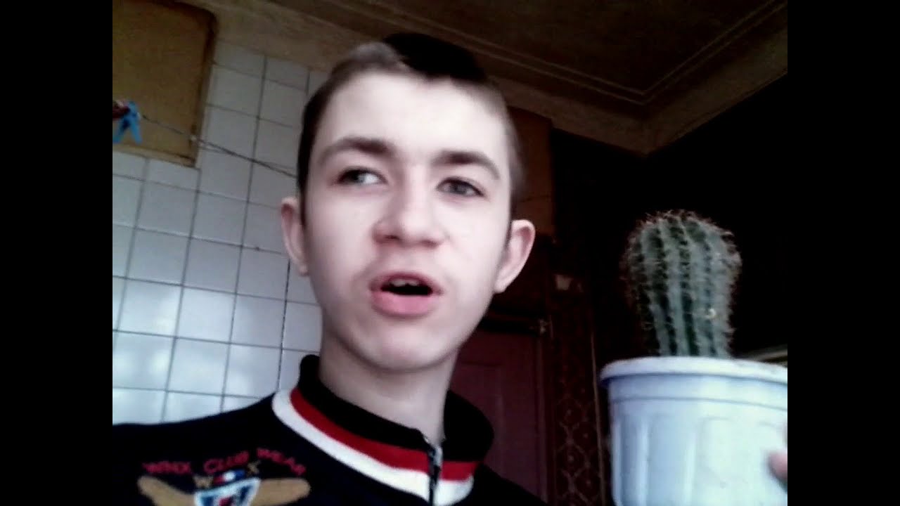 Дудка на солярис