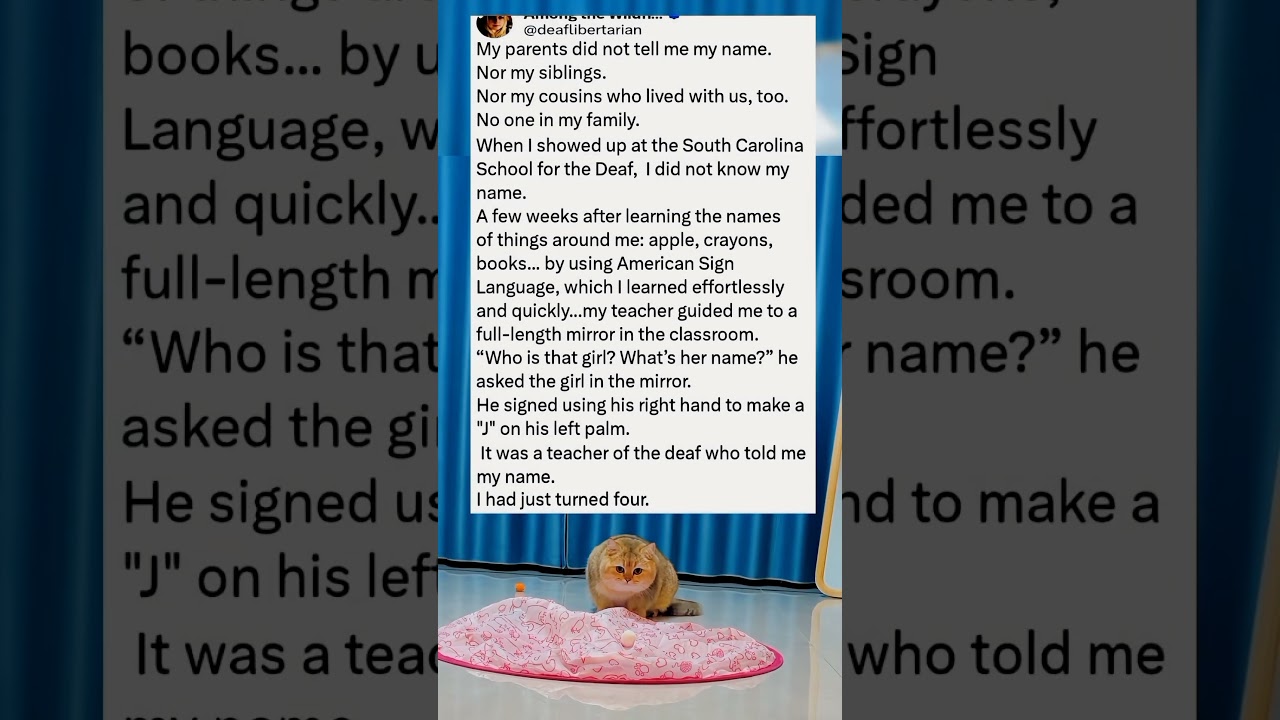 Она четыре года не знала своего имени… то, что произошло дальше, НЕВЕРОЯТНО 😭