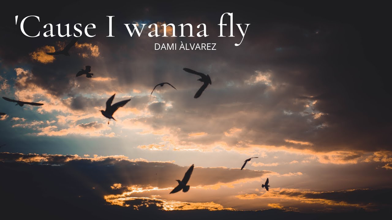 Dami Alvarez - 'Cause I wanna fly (Official Lyrics Video)