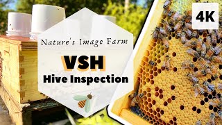 VSH Bees? Too Hygienic? First Inspection. 4K