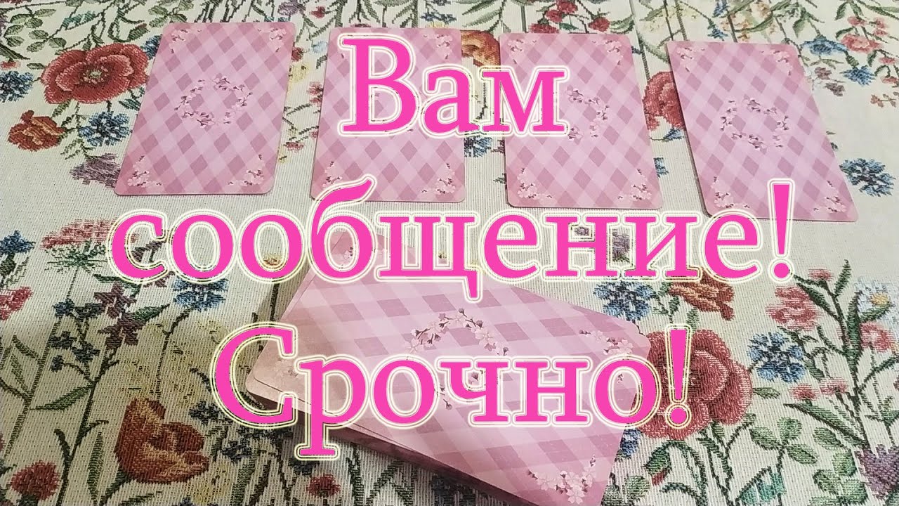 Срочно! Вам сообщение от анимешки! Общий расклад.