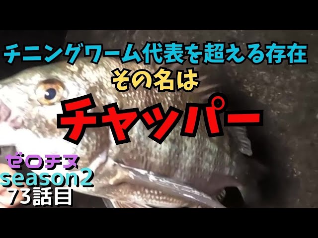 チニング】ゼロチヌ season2 本家越え！？偽物ク〇イ〇ーフ〇ッパー