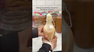 Panen kombucha berujung bgepel 🤣🤪 #kombucha