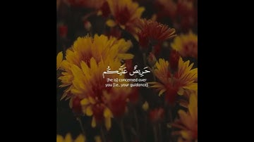 لَقَدْ جَاءَكُمْ رَسُولٌ مِّنْ أَنفُسِكُمْ...💚🍀// تلاوة خاشعة🍀// القارئ شريف مصطفى💙