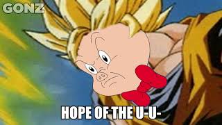 Porku is the Hope of the Universe