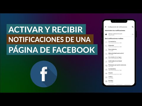 Cómo Activar y Recibir Notificaciones de una Página de Facebook