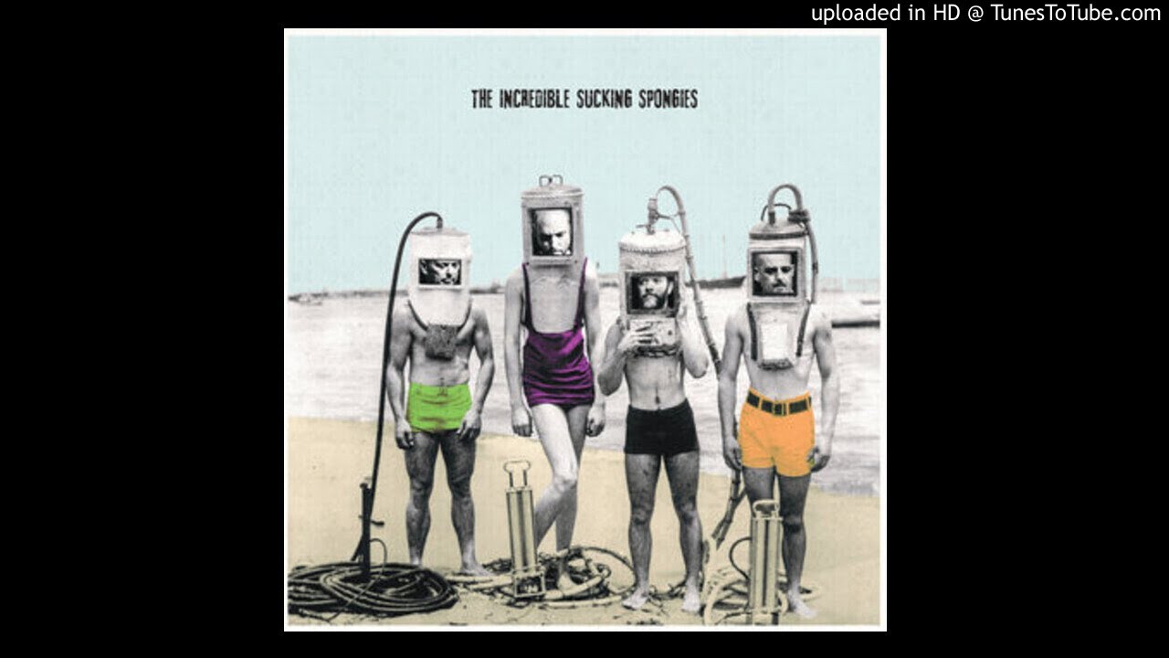 Incredible Spongies - Collega's Theme