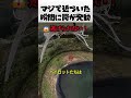 マジで近づいた瞬間に罠が発動