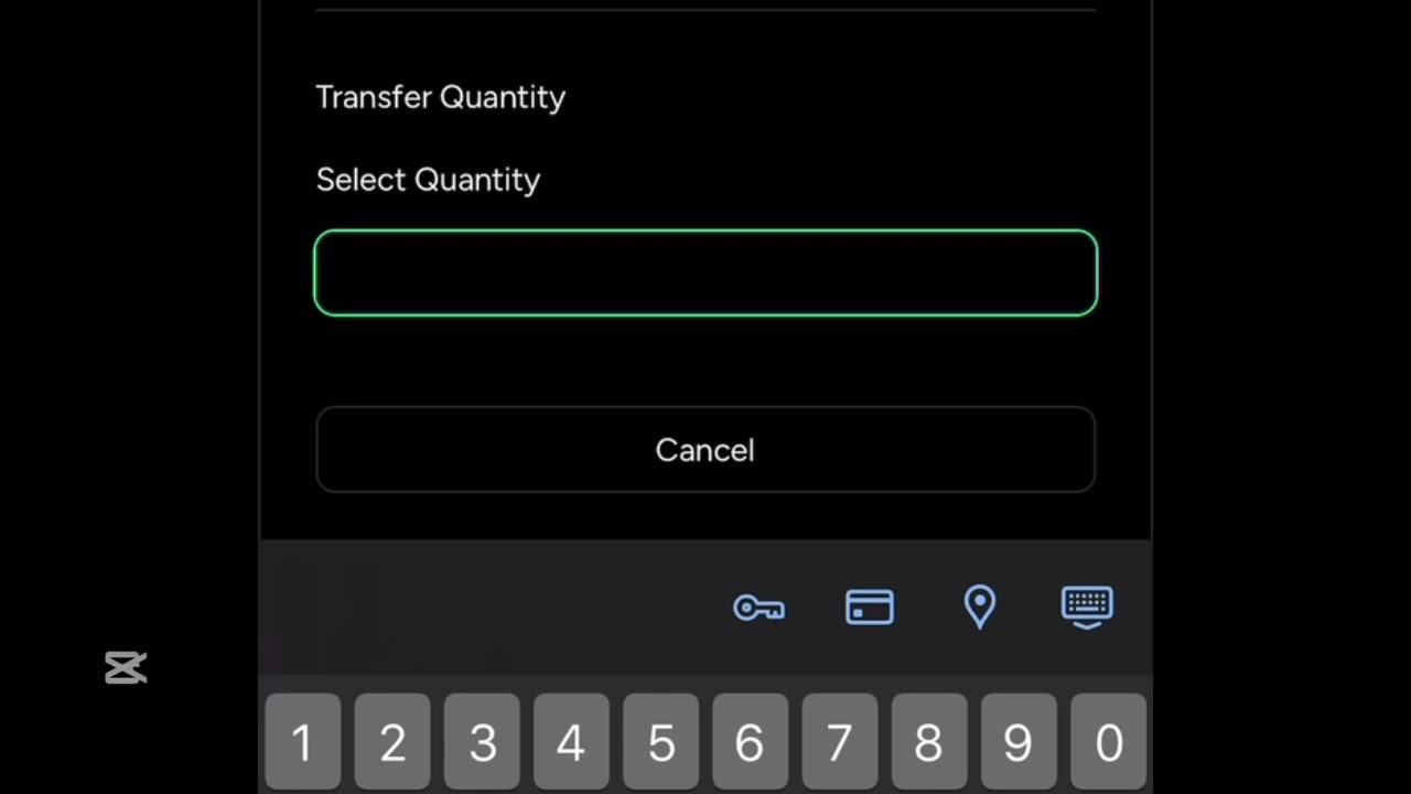 How to make in-app transfers on Intrigrow! 