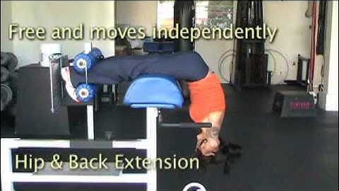 Back Extension, Hip Extension, Hip-back Extension