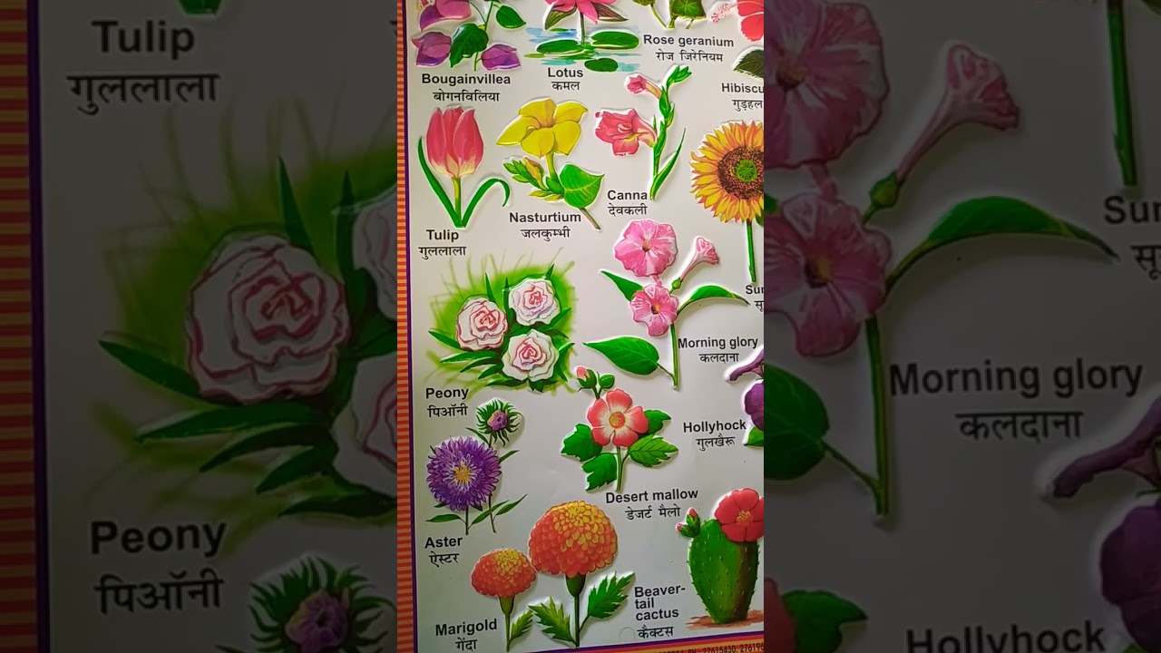 Flowers name YouTube